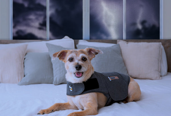 Staying Calm While The Storms Roll In