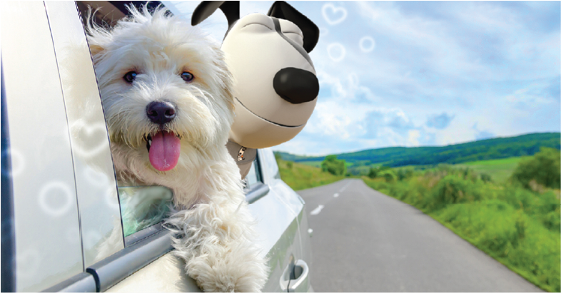 Preparing for a Road Trip: Travel Anxiety and Your Pet