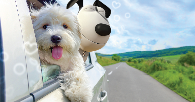 Getting Ready for Summer Road Trips