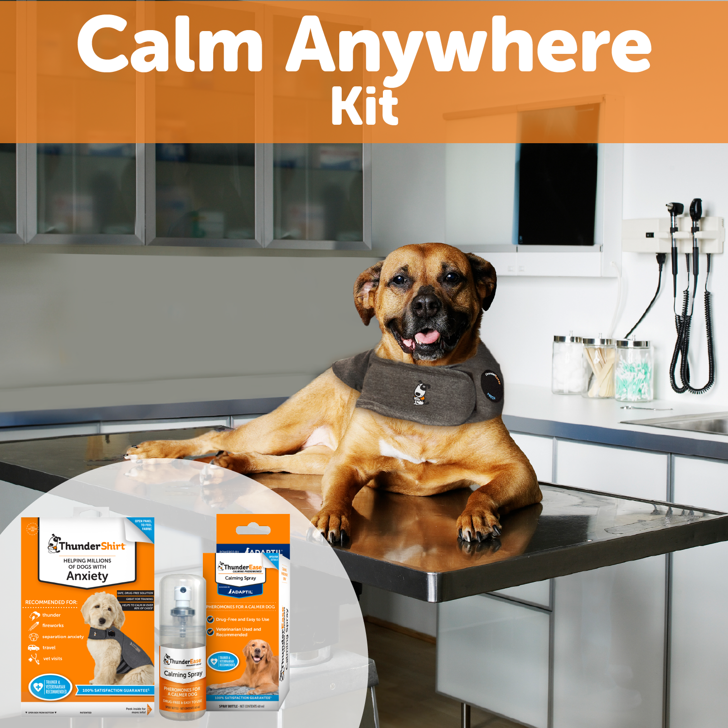 Calm Anywhere Bundle