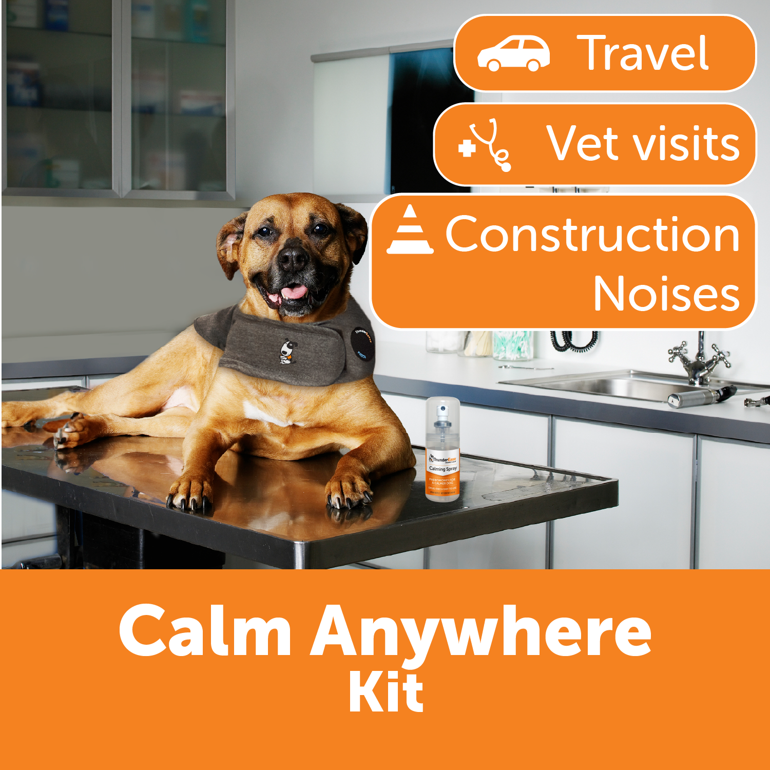 Calm Anywhere Bundle