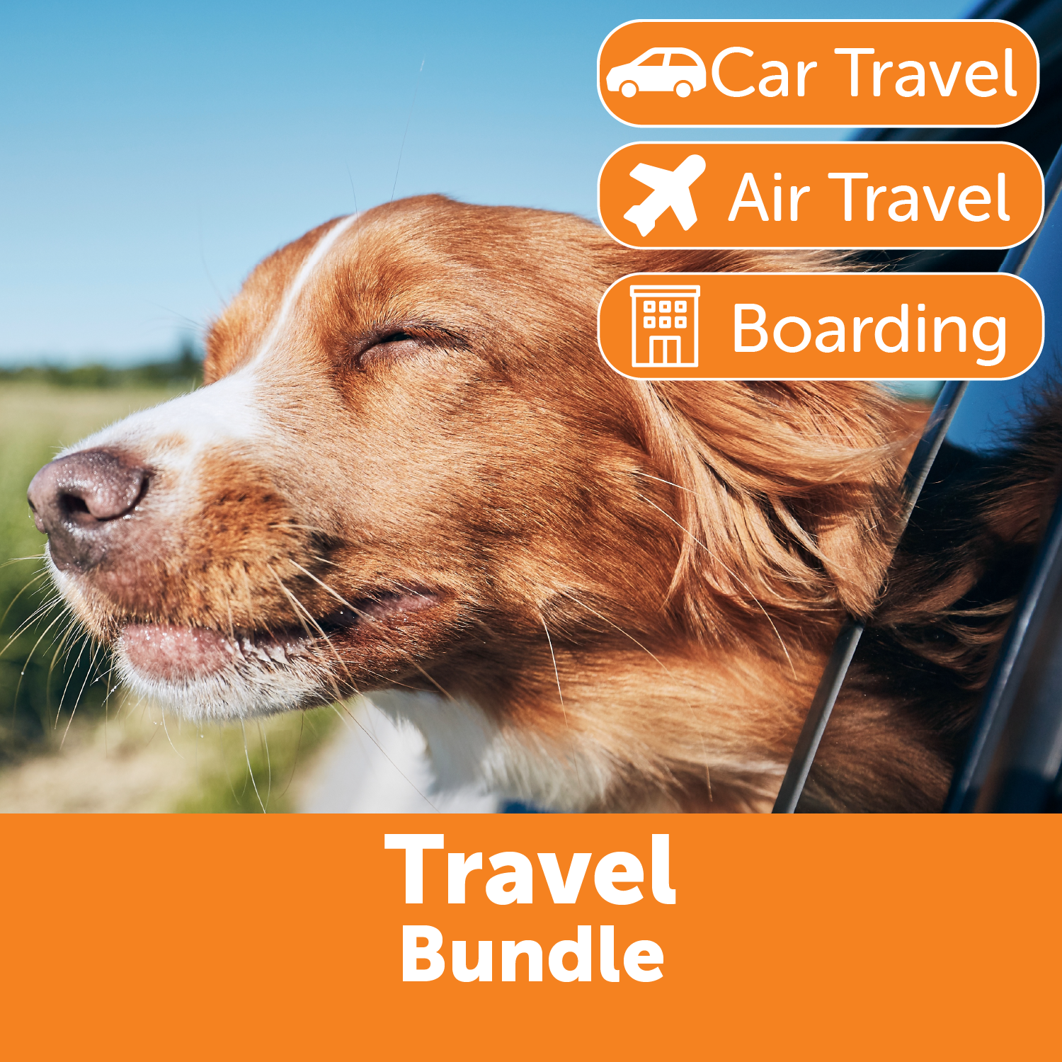 Dog Travel Calming Bundle