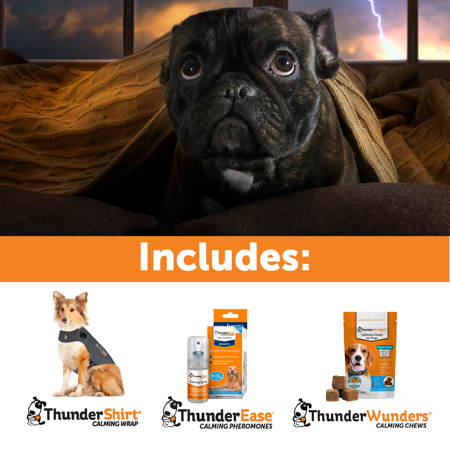 Summer Survival Bundle