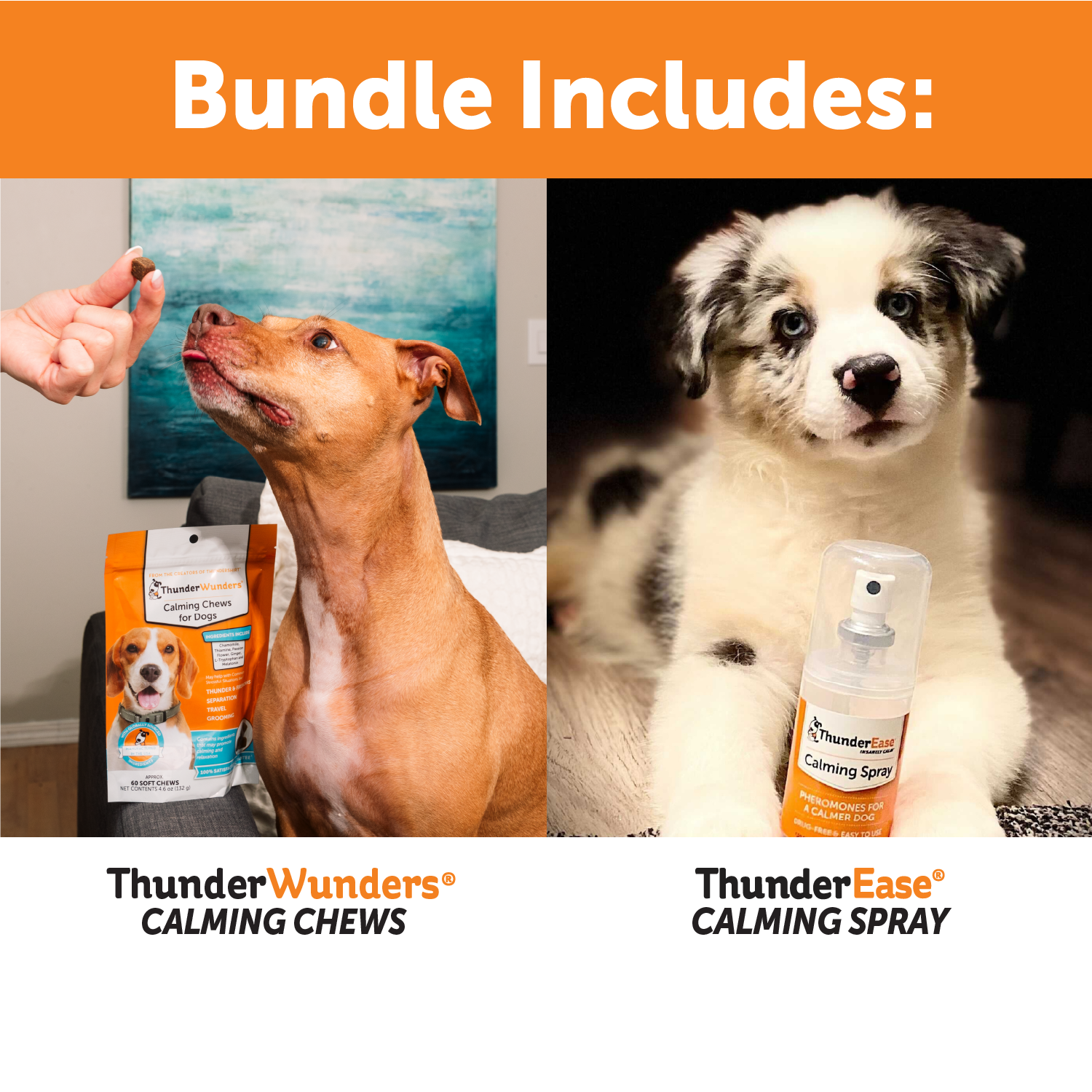 Dog Travel Calming Bundle