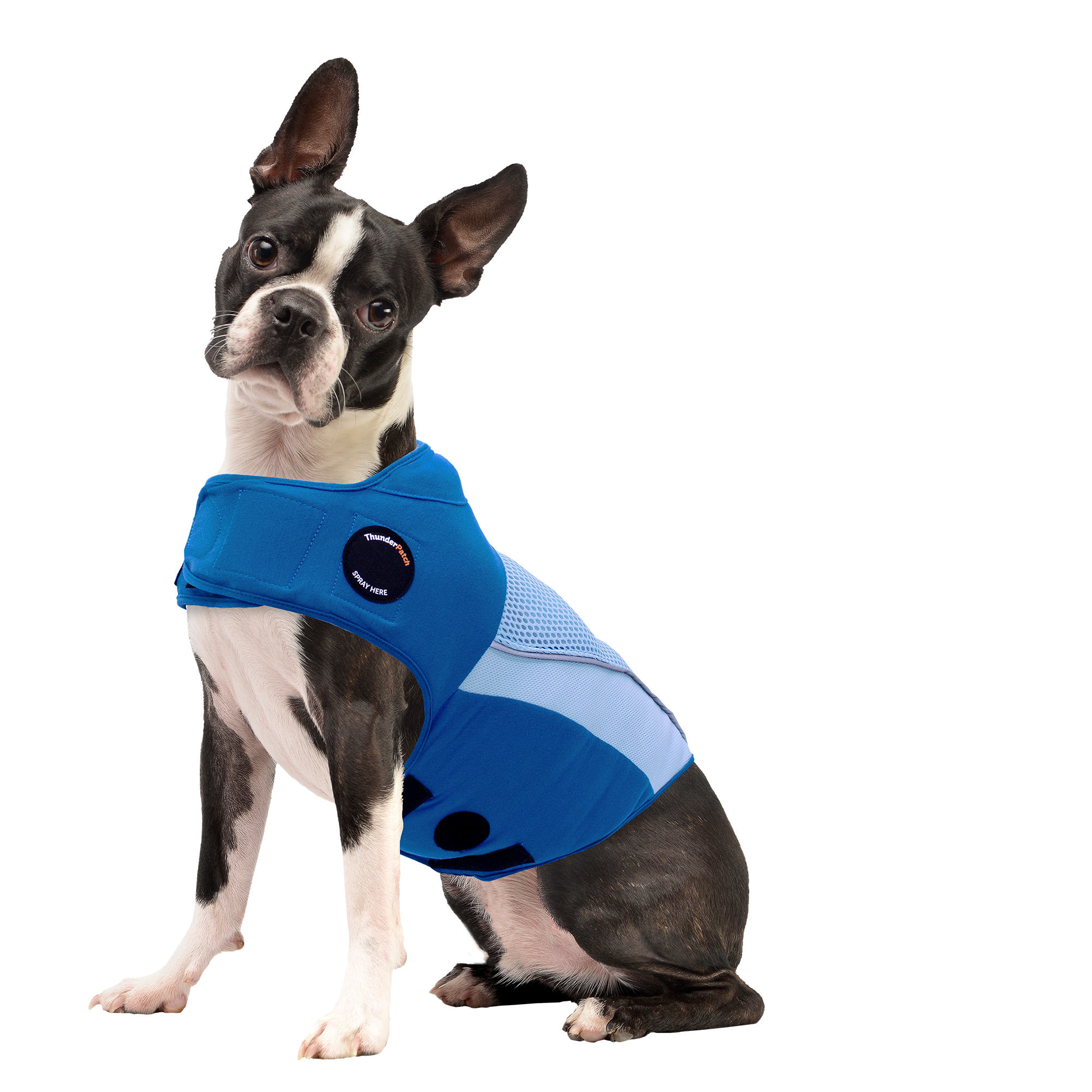 G66520B-XS_Blue_38217871-aa59-