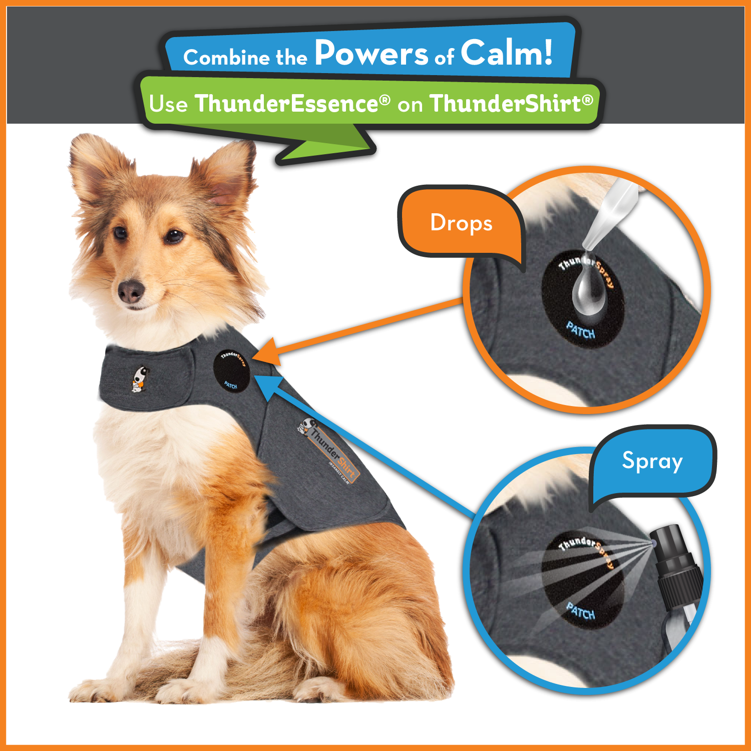Use ThunderEssence Essential Oil for Dogs with a ThunderShirt 