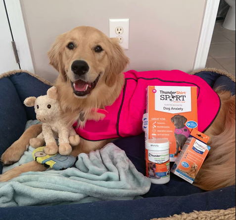 Summer Survival Bundle