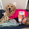 Summer Survival Bundle