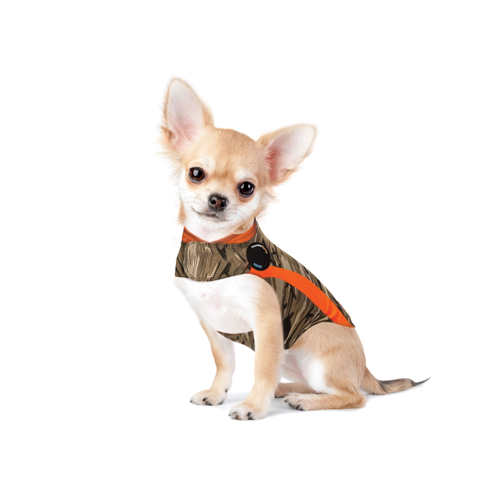 Thundershirt for chihuahua hotsell