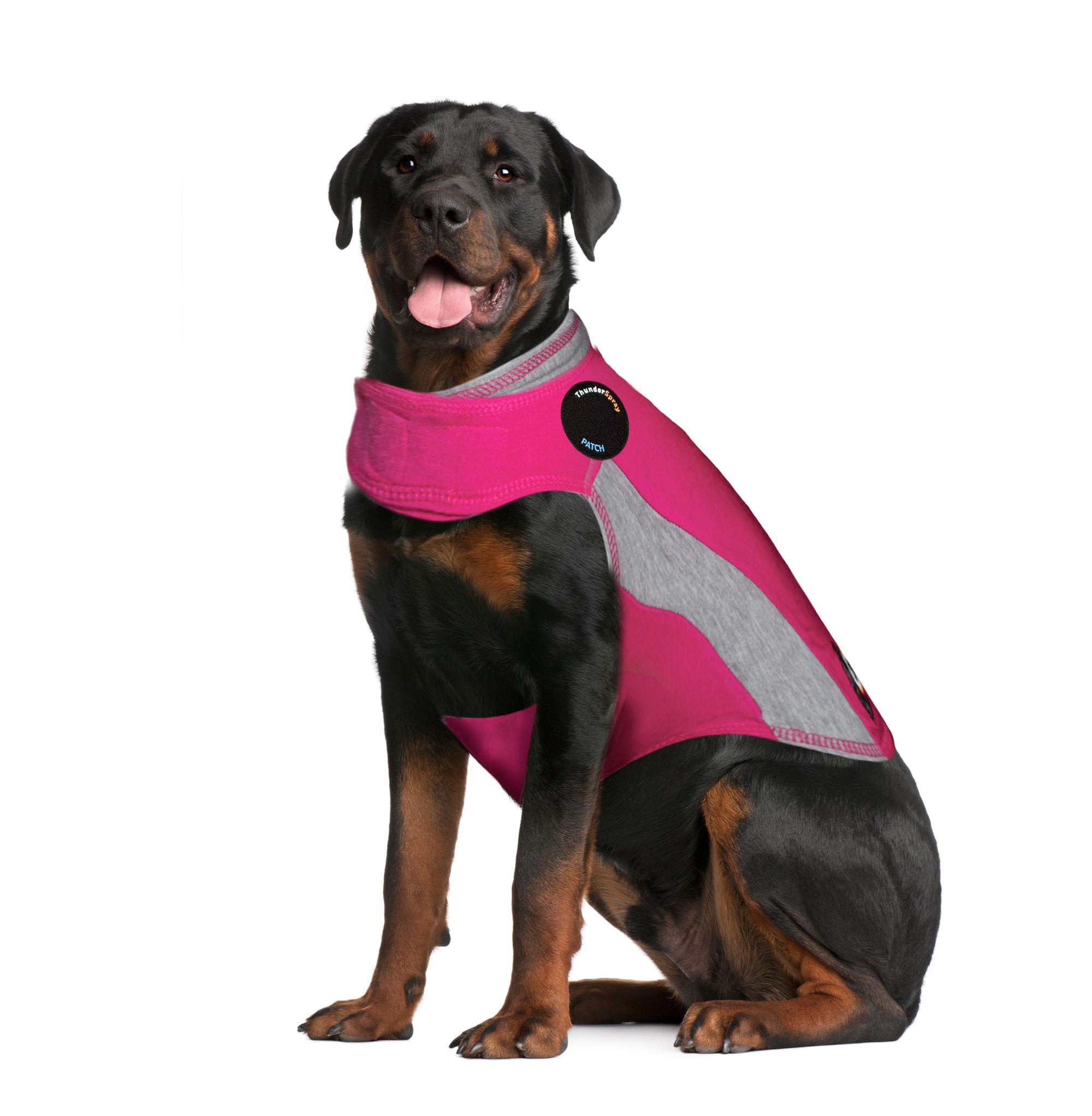 Pink thundershirt sales for dogs