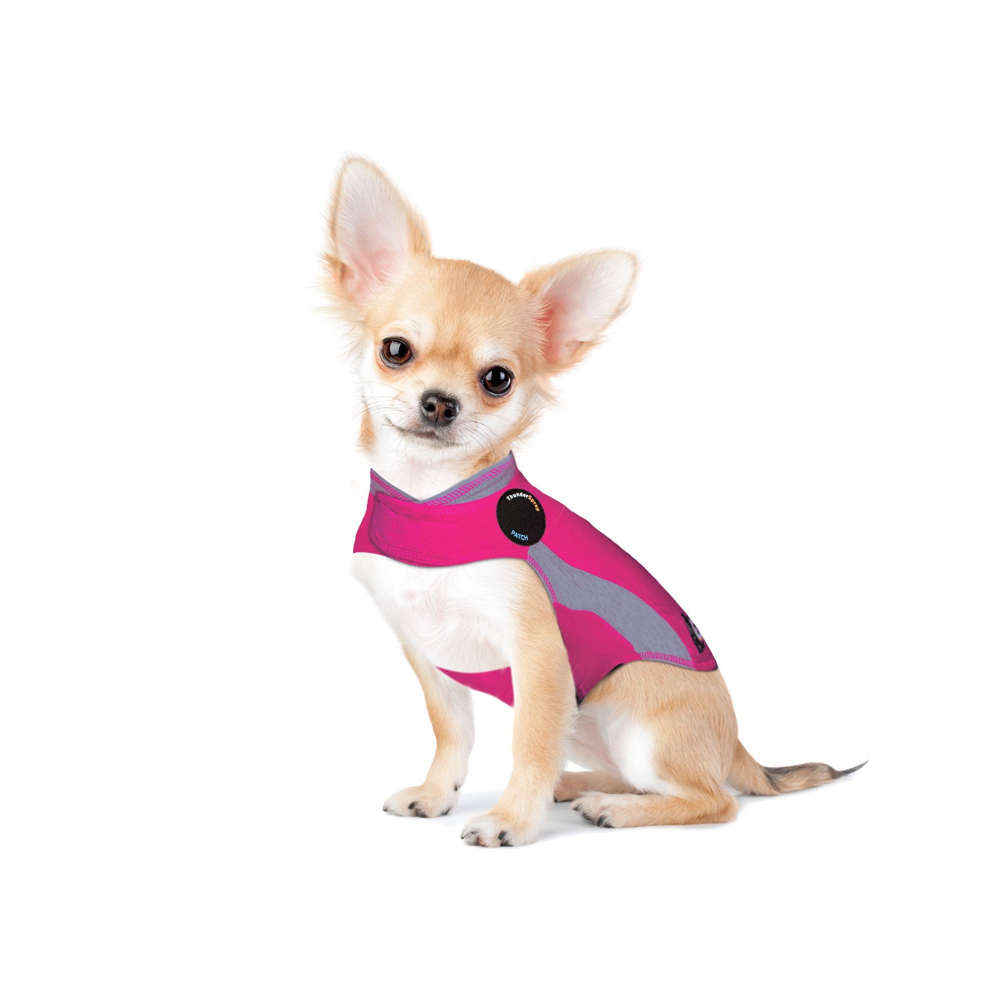 Pink thundershirt sales for dogs