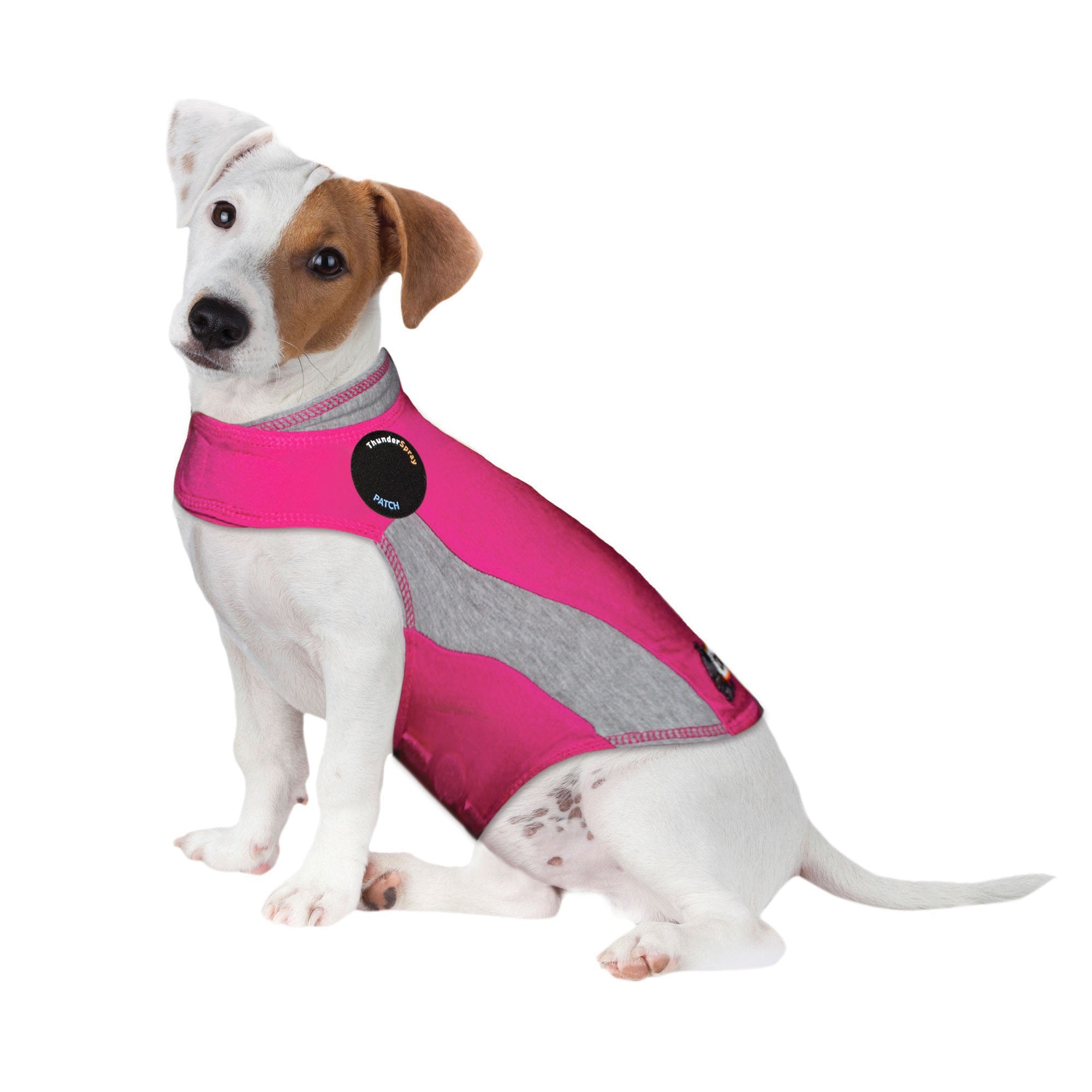 ThunderShirt Sport for Dogs Anxiety Vest – Pet Empire and Supplies