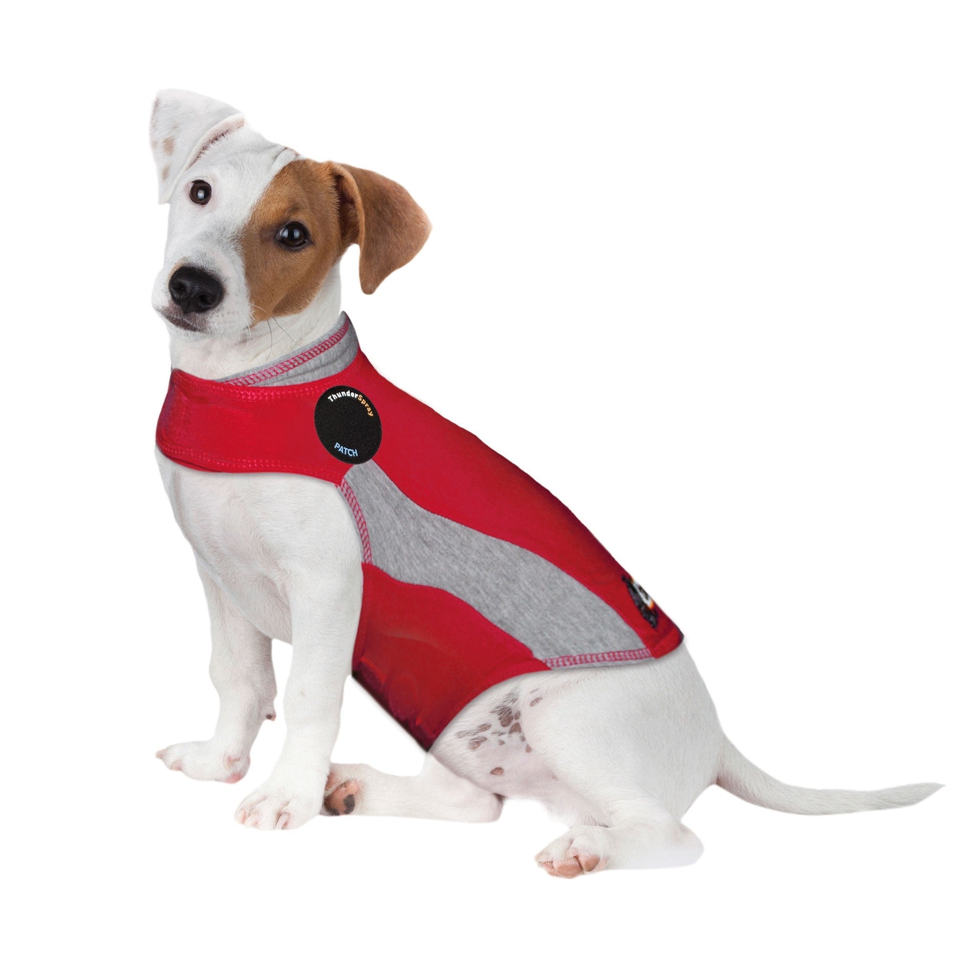 Thundershirt company on sale