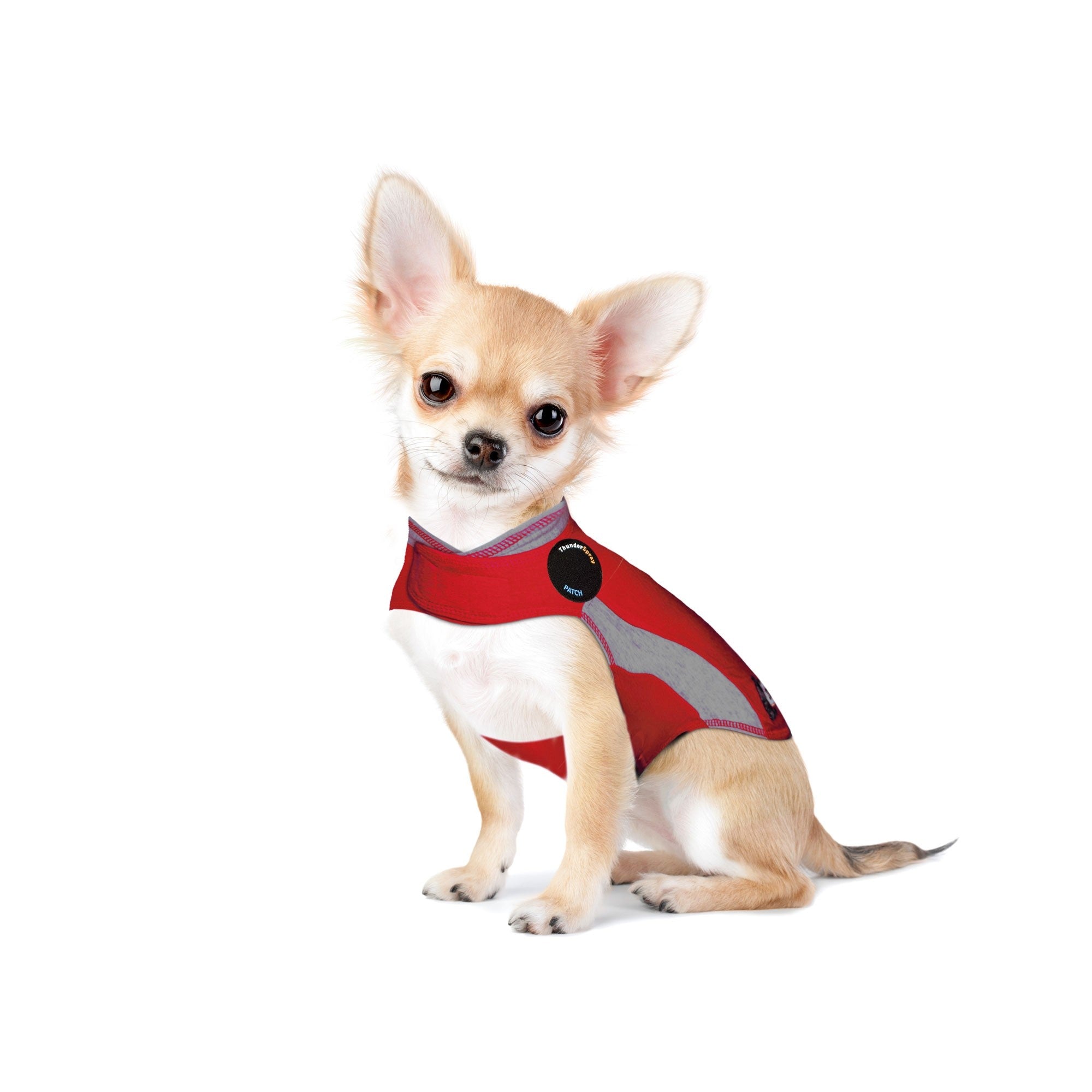Thundershirt for chihuahua hotsell