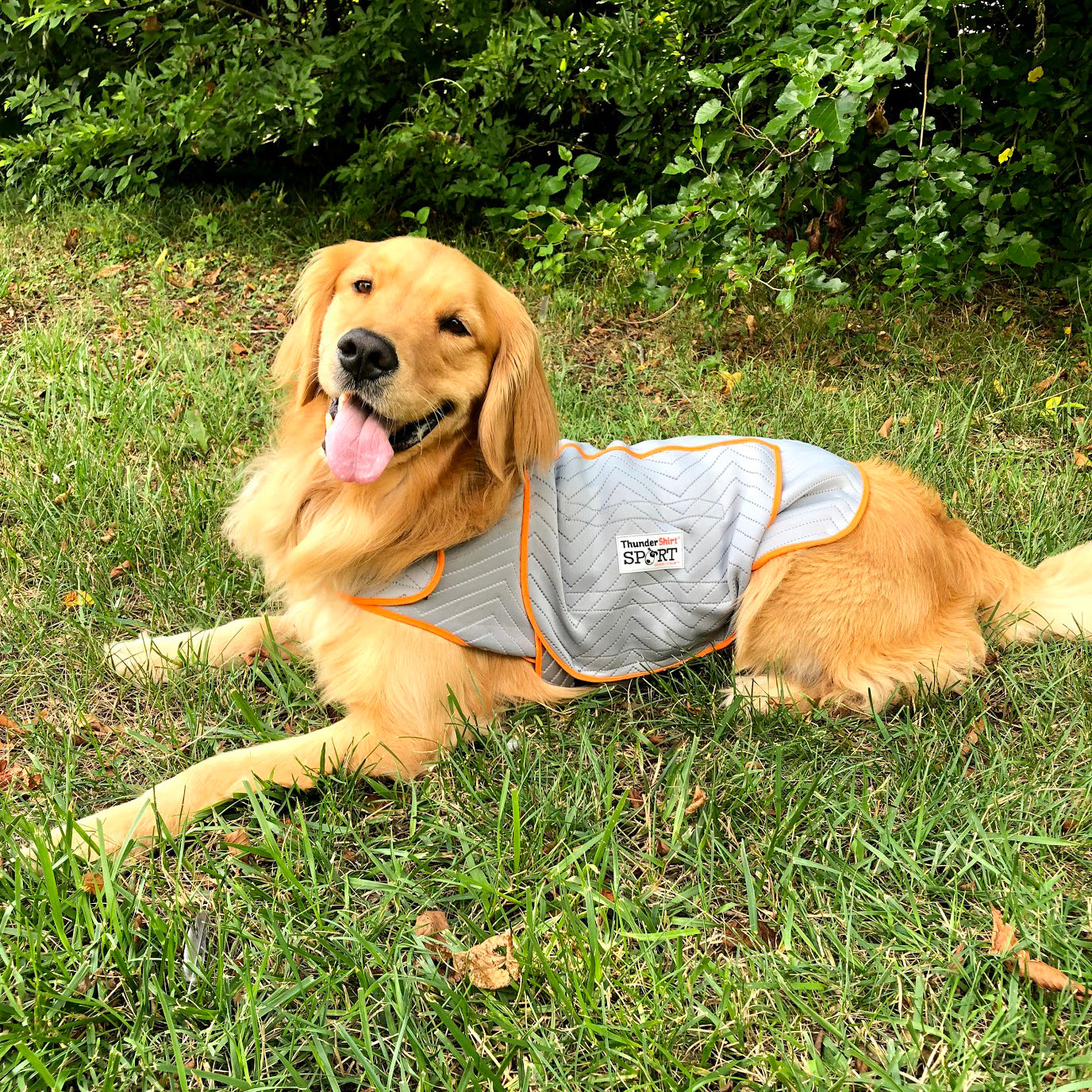 How Does the ThunderShirt Work?