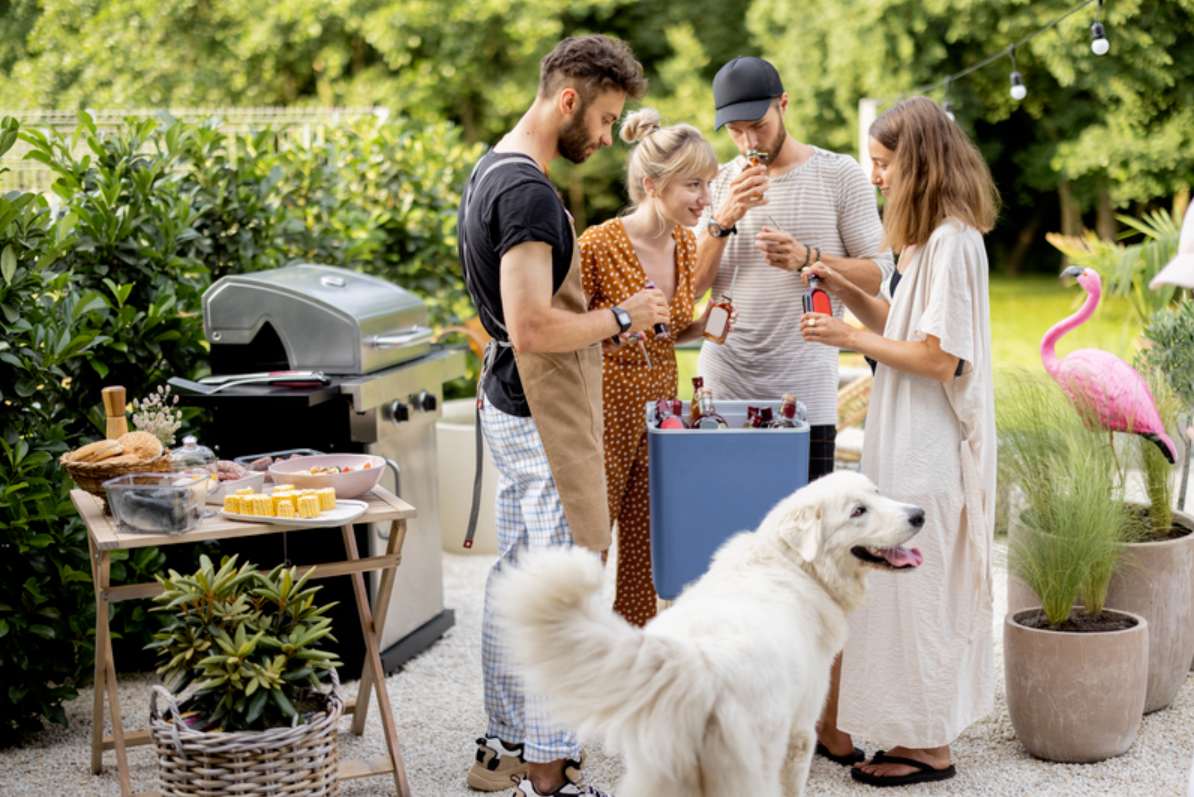 Dog at a barbeque.