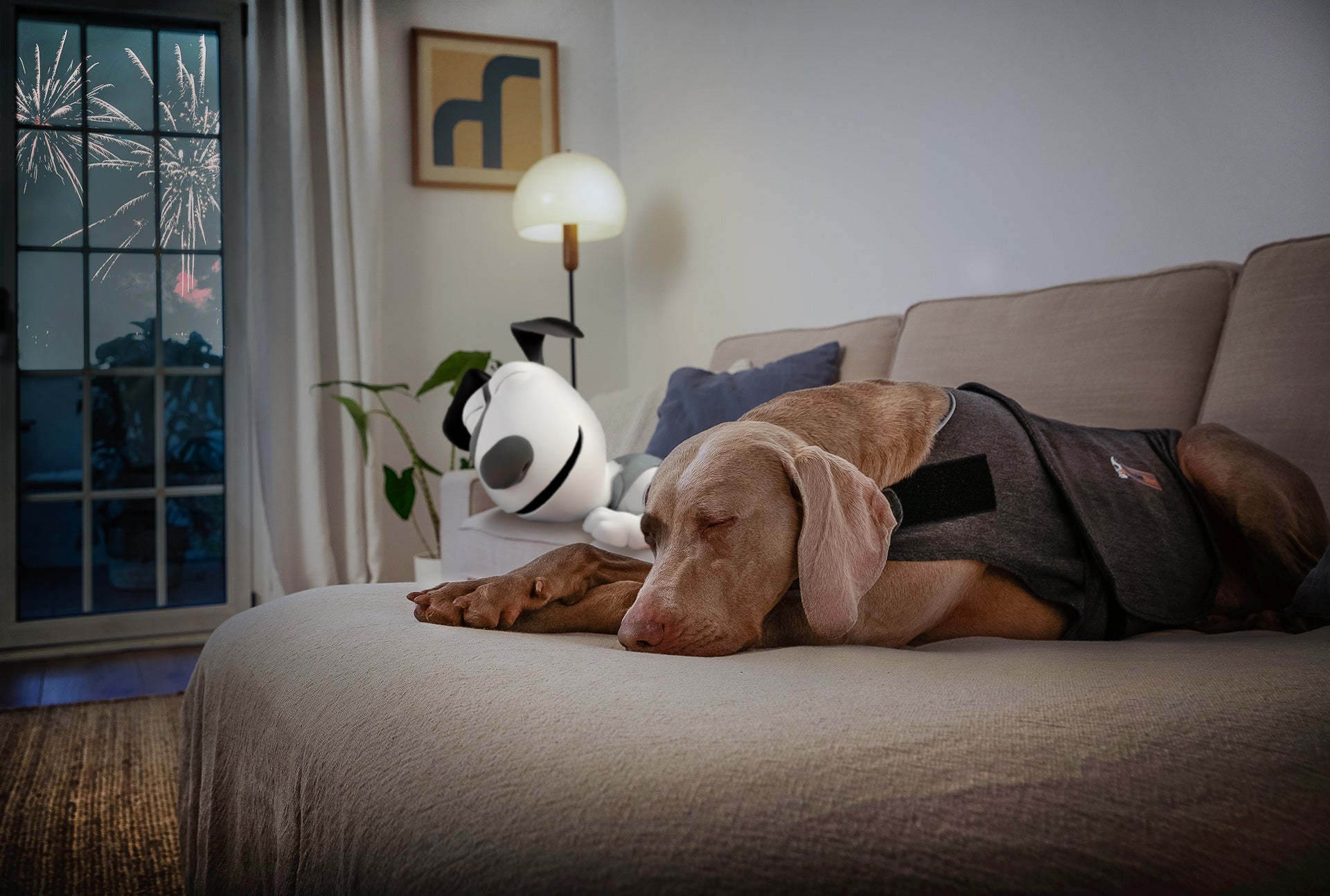 Prepare Your Pup for Summer Fireworks