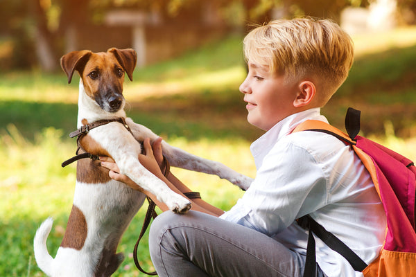 Ease Back into Your Post-Summer Routine