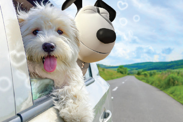 Using Pressure to Treat Dog Anxiety During Car Travel
