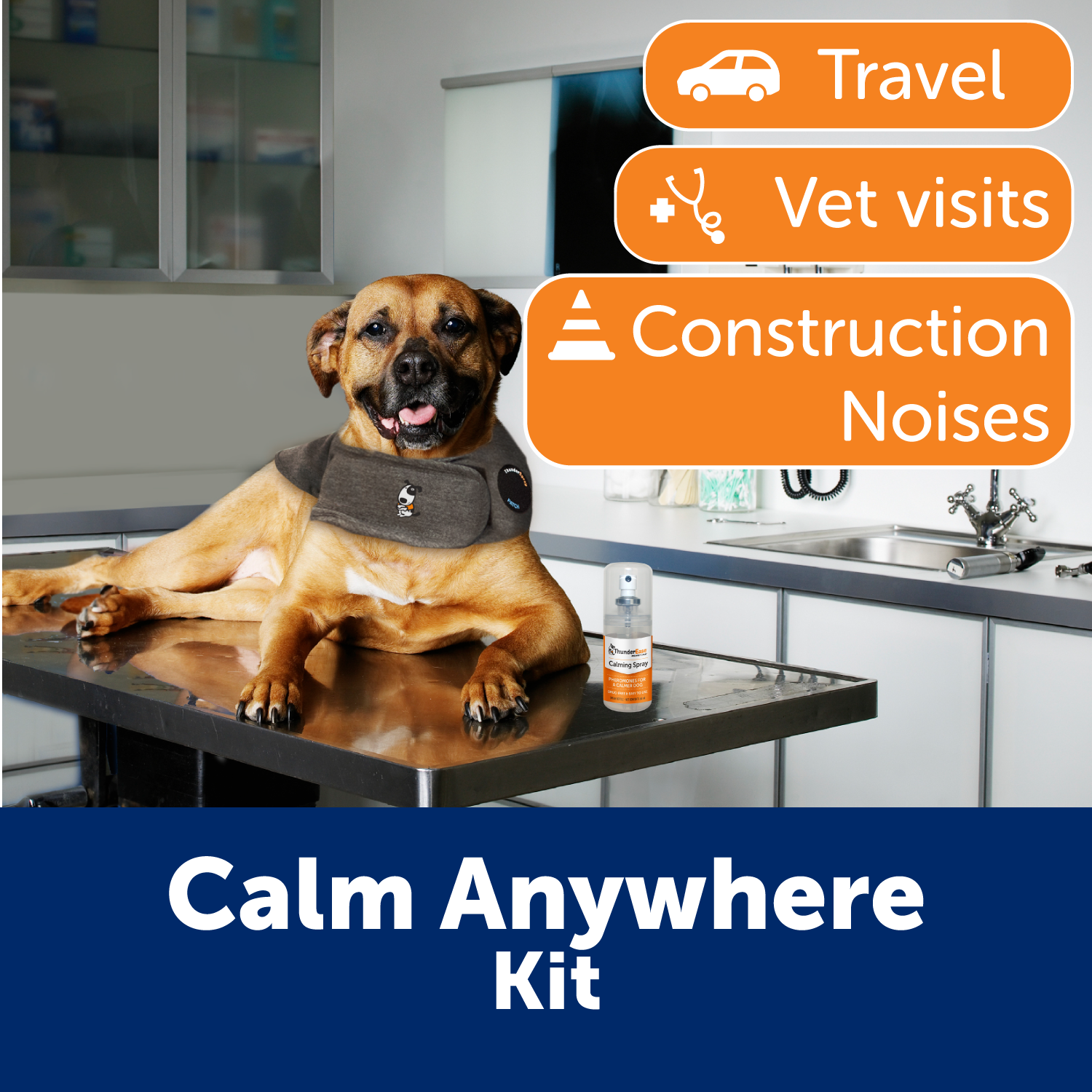 Calm Anywhere Bundle
