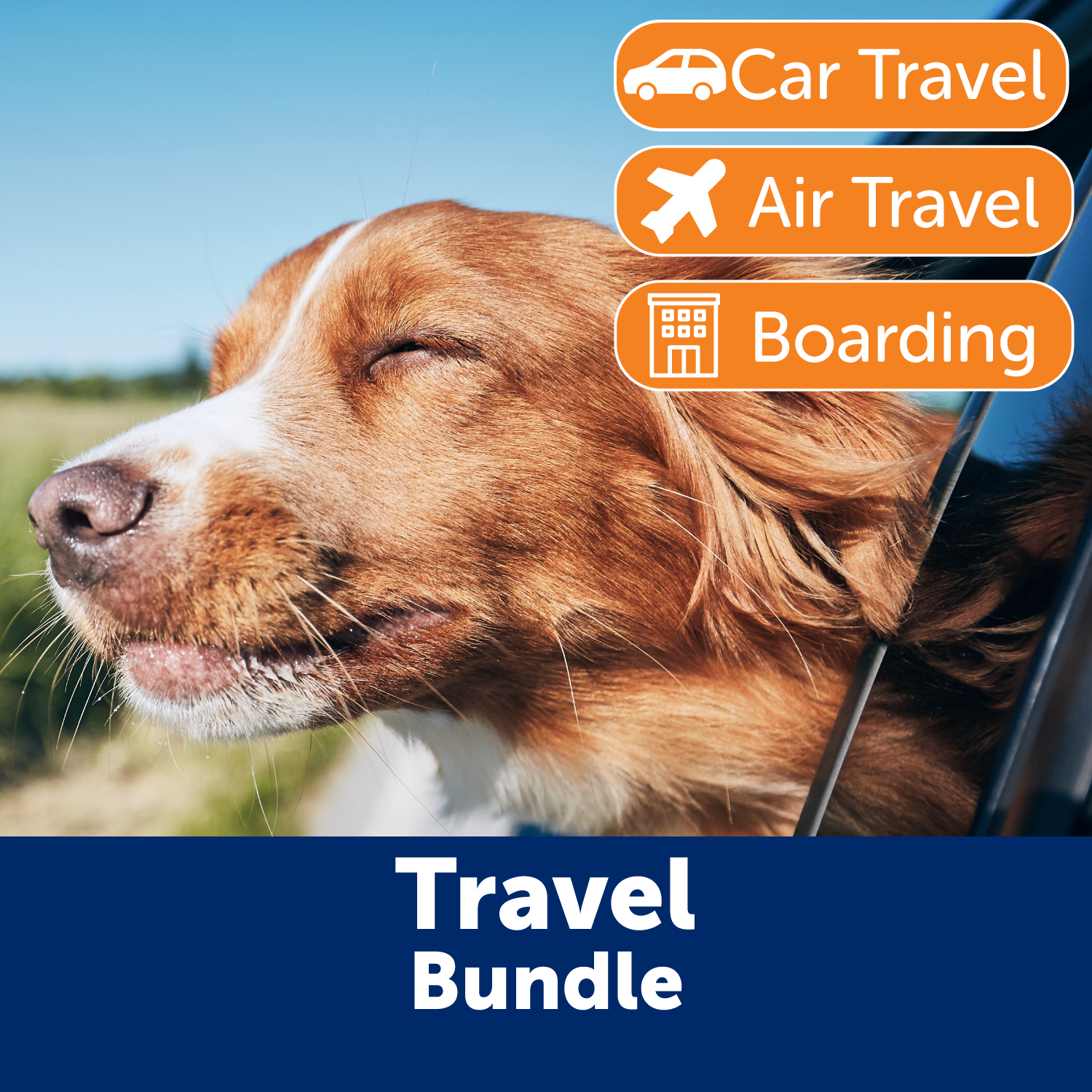 Dog Travel Calming Bundle