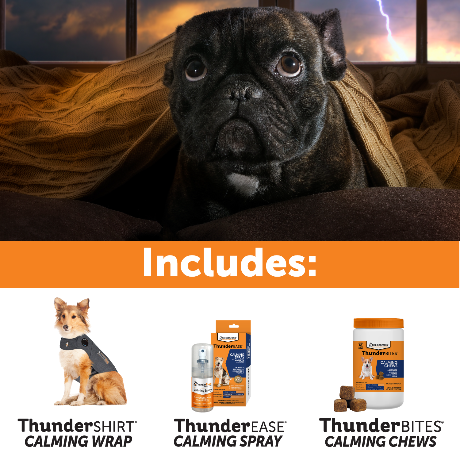 Summer Survival Bundle