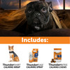 Summer Survival Bundle