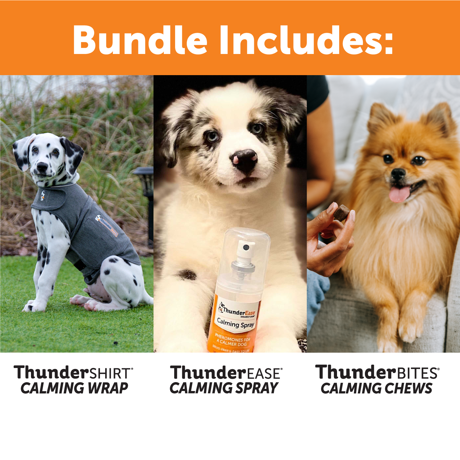 Summer Survival Bundle
