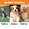 Summer Survival Bundle