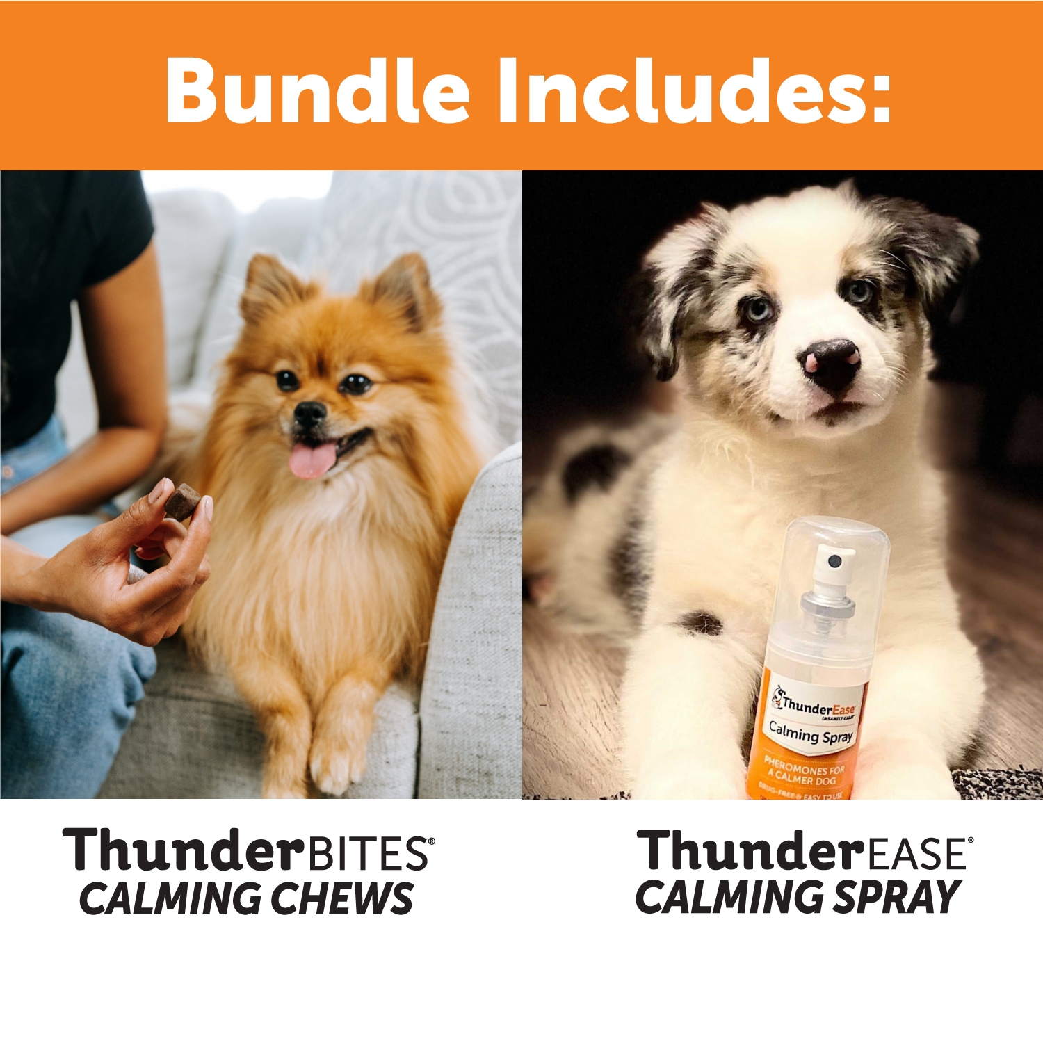 Dog Travel Calming Bundle