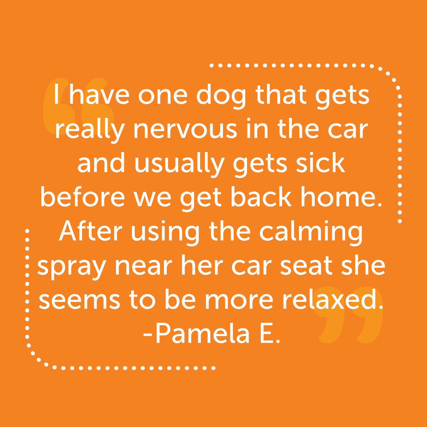 Dog Travel Calming Bundle