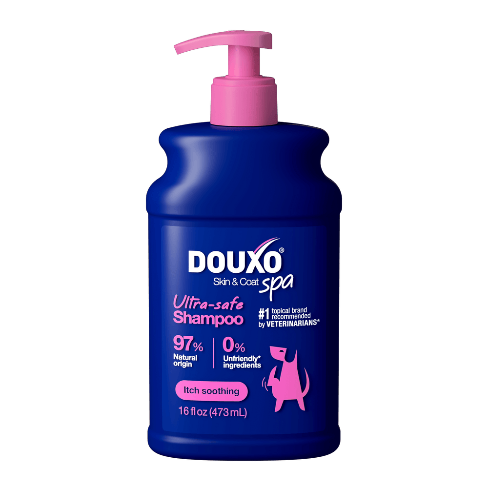 The front of a 16 fl oz bottle of DOUXO Itch Soothing Shampoo for dogs, featuring a dark blue bottle with a light pink pump dispenser and pink label accents.