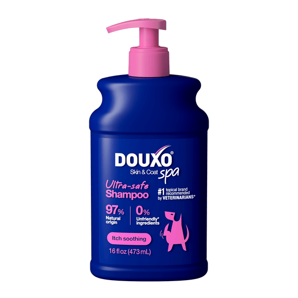 The front of a 16 fl oz bottle of DOUXO Itch Soothing Shampoo for dogs, featuring a dark blue bottle with a light pink pump dispenser and pink label accents.