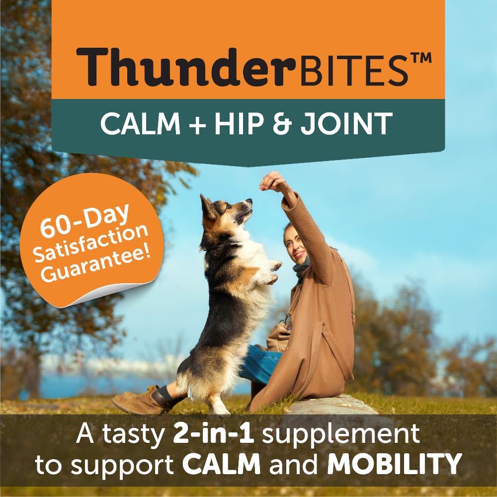 ThunderBites Calm + Hip & Joint