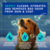 DOUXO® Skin & Coat SPA Odor Control Shampoo