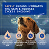 DOUXO® Skin & Coat SPA Shed Control Shampoo