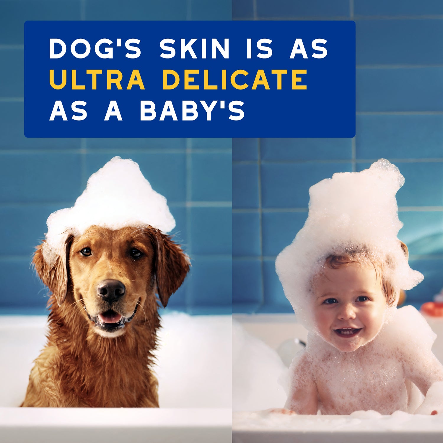 DOUXO® Skin & Coat SPA Oatmeal Shampoo