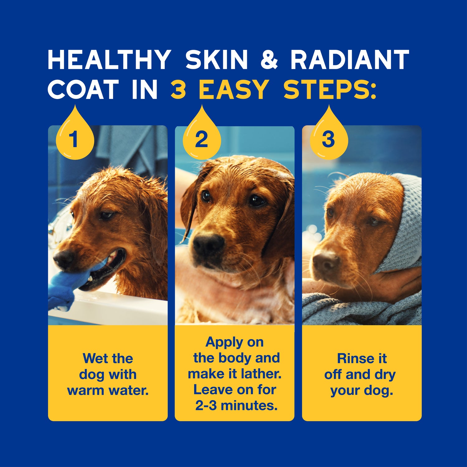 DOUXO® Skin & Coat SPA Oatmeal Shampoo
