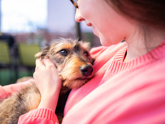 A close-up lifestyle shot of a woman in a pink sweater gently holding and petting a small dog.