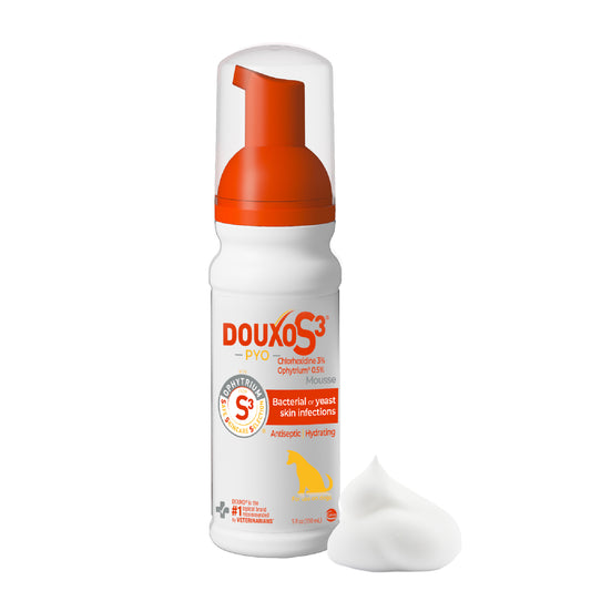 DOUXO® S3 PYO Mousse