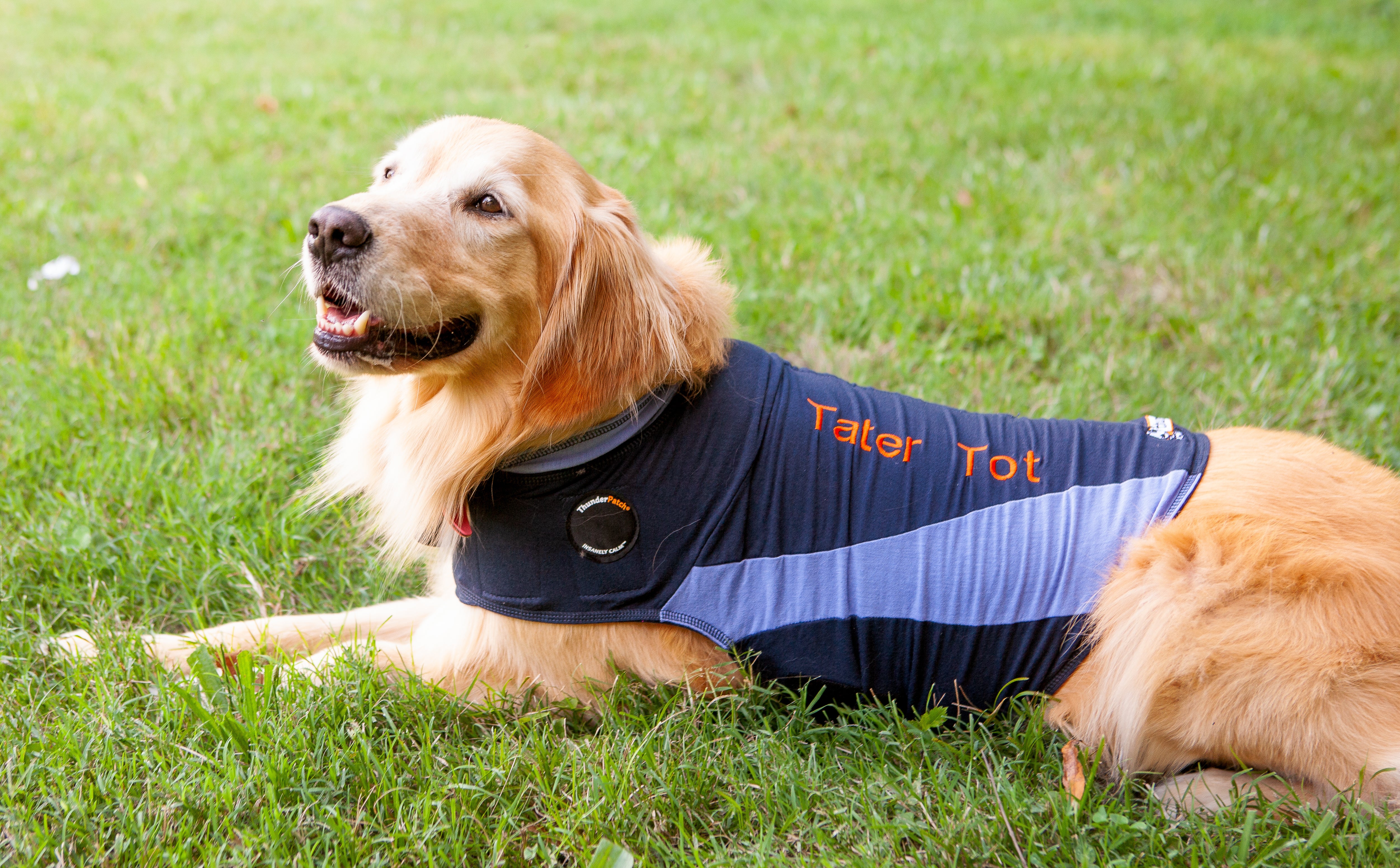 ThunderShirt® for Dogs