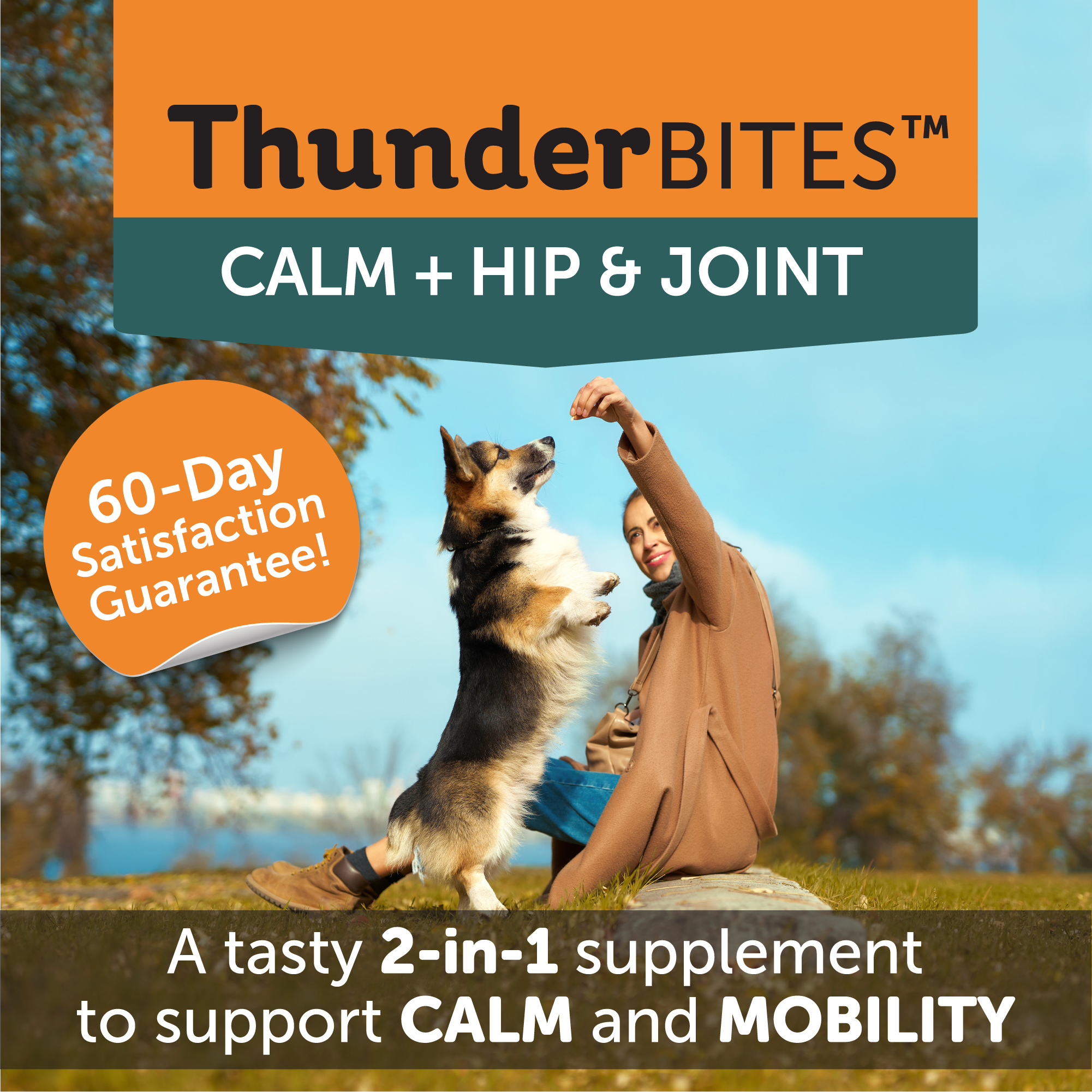 ThunderBites™ Calm+ Hip & Joint Daily Soft Chews for Dogs