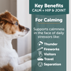 ThunderBites™ Calm+ Hip & Joint Daily Soft Chews for Dogs