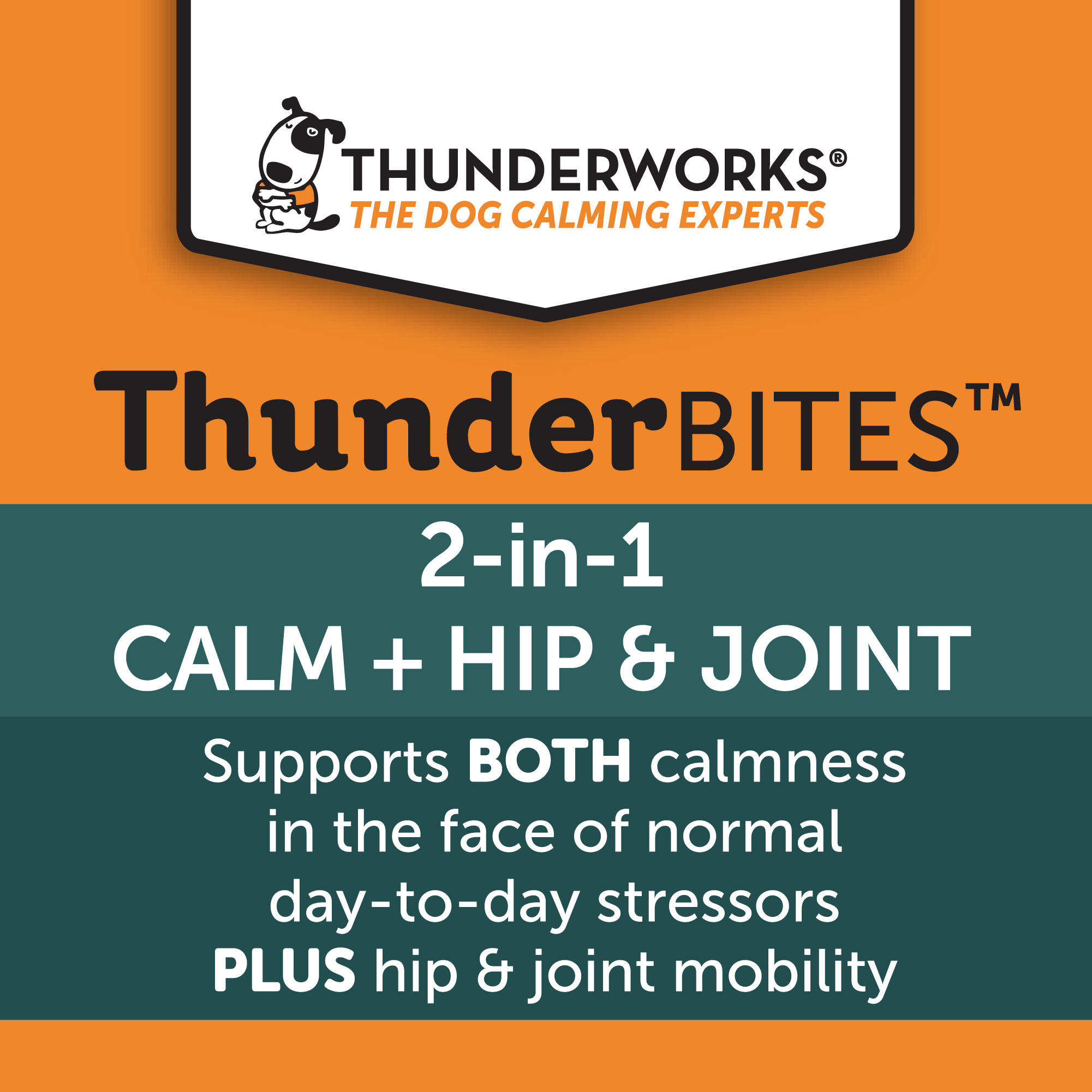 ThunderBites™ Calm+ Hip & Joint Daily Soft Chews for Dogs