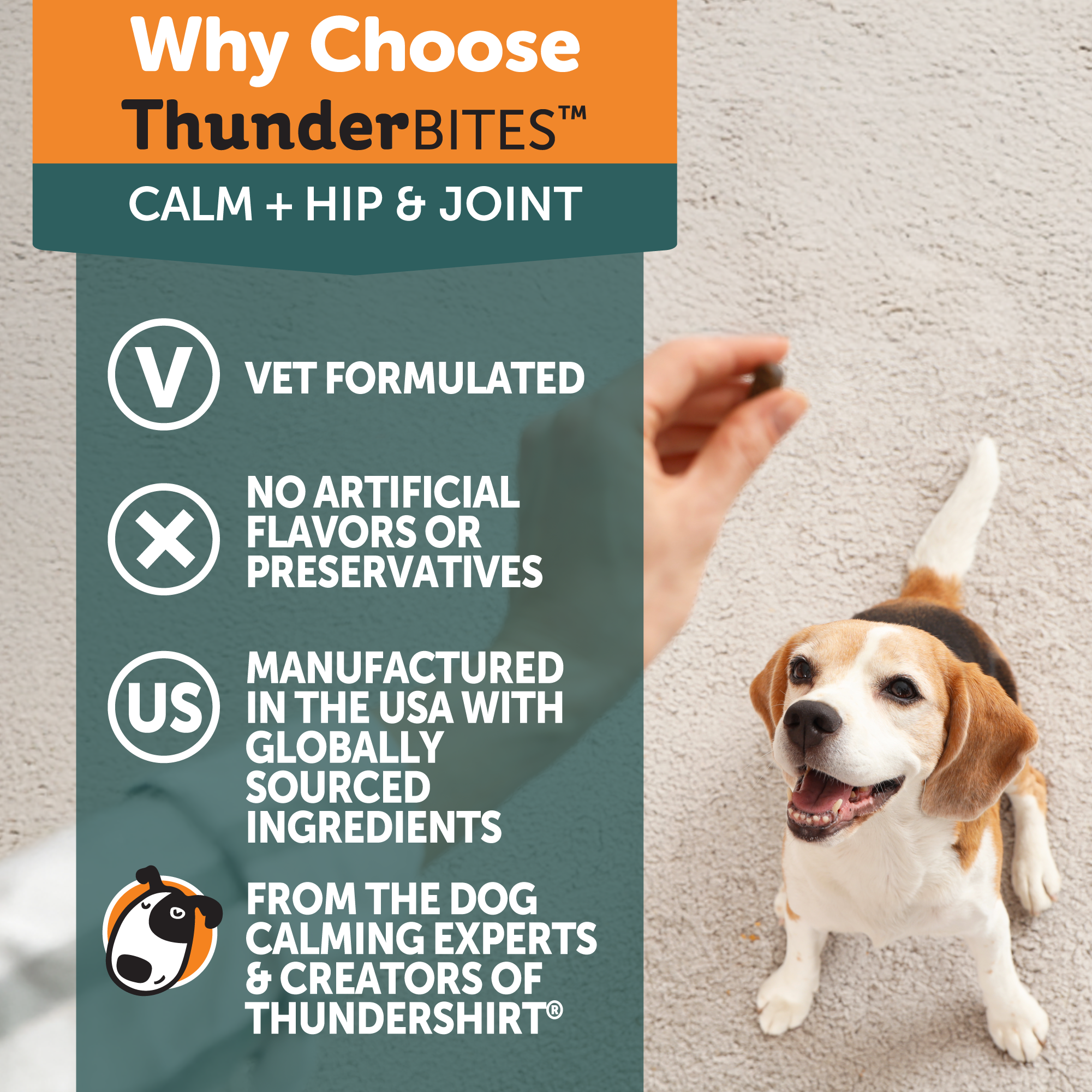 ThunderBites™ Calm+ Hip & Joint Daily Soft Chews for Dogs