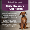 ThunderBites® Calm + Probiotic Daily Soft Chews for Dogs