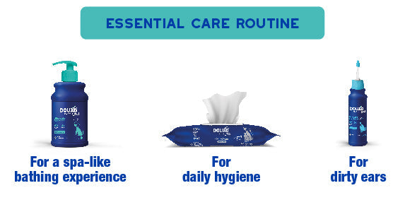 DOUXO Skin & Coat Care products including Douxo odor control shampoo, douxo multipurpose wipes, and douxo dewaxing ear cleaner.
