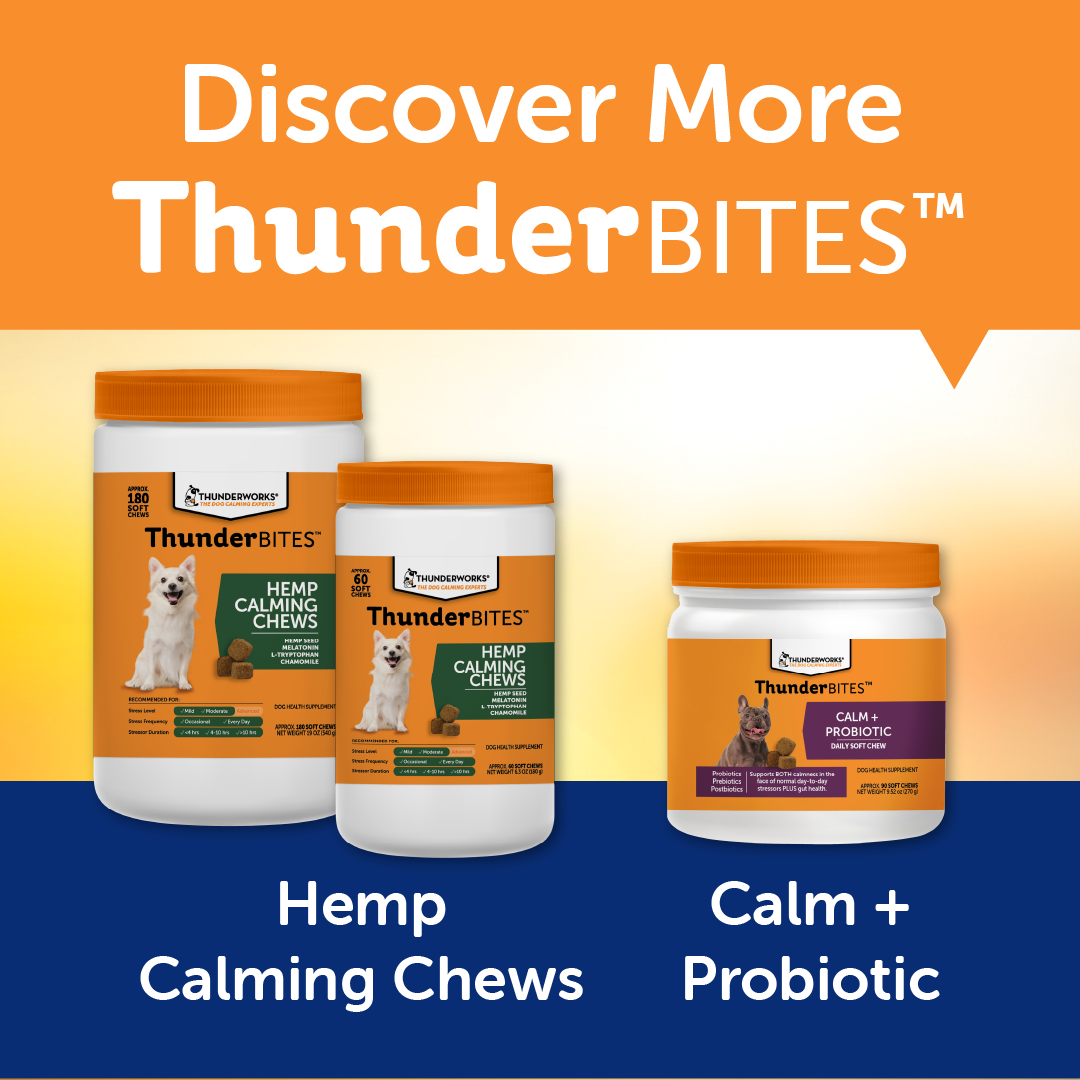 T05-D-Calm60 | T05-D-Calm180