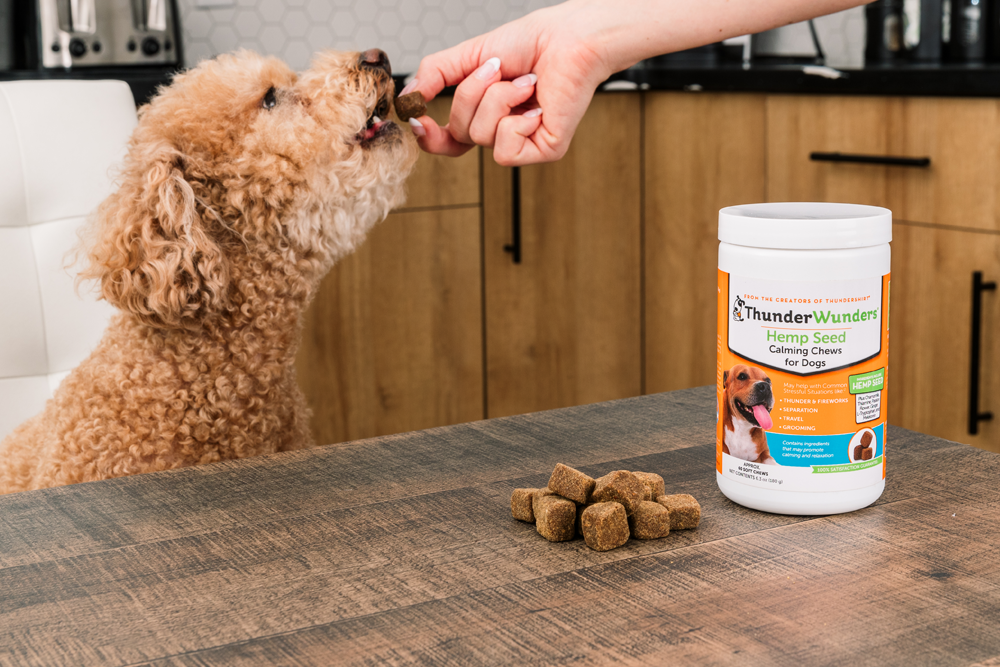 Thunder jacket for people hot sale