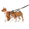 ThunderLeash For Two Dogs (for dogs 12-25 lbs each)